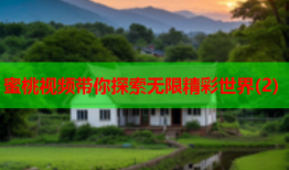 蜜桃视频带你探索无限精彩世界(2)