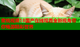 蜜桃视频18国产在线观看全新视角带你畅游精彩世界
