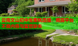 云南文山初中生蜜桃直播：揭露平台不良内容与监管缺失